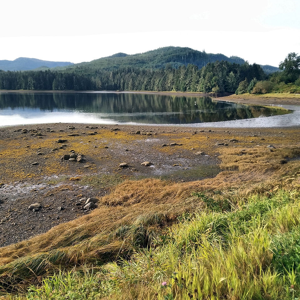 Craig Klawock Bike Path Wetlands