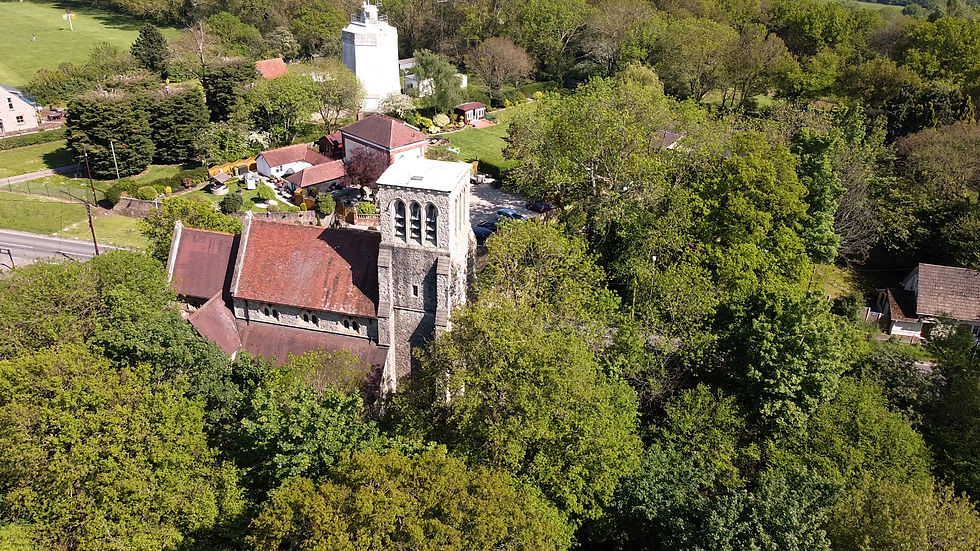 Church In Forest