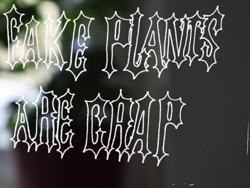 Fake Plants Are Crap Short Film Review