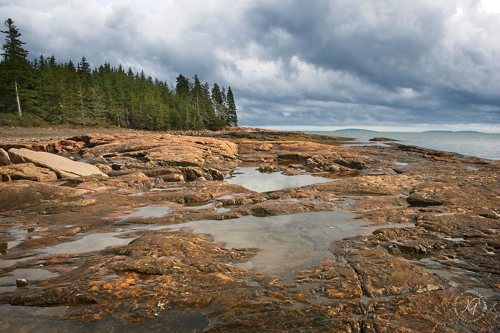 Rock pools in Maine