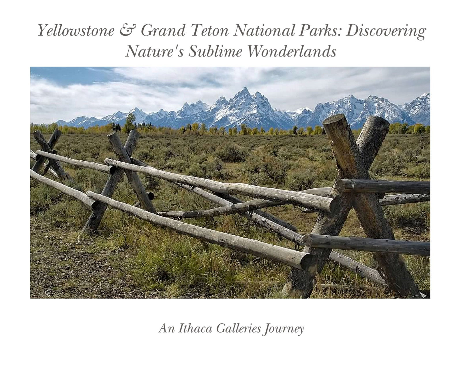 Yellowstone & Grand Teton: Discovering Nature's Sublime Wonderlands