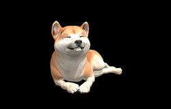 Shiba Inu - By Nyi Nyi Tun