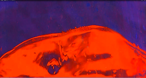 unnamed (3).png