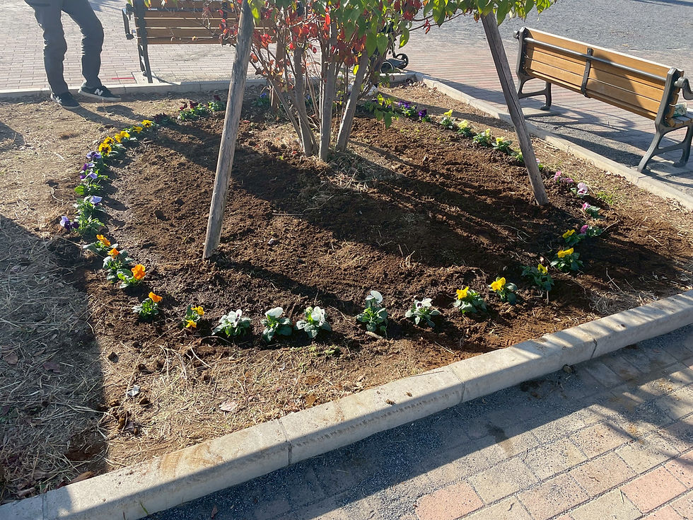 お花を植えました!