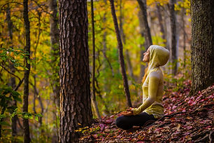 2014fall-redrivergorge-351.jpg