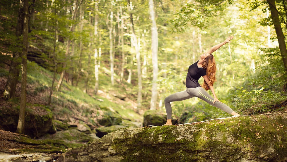 Yoga Classes | Wildflower Yoga Collective | New Jersey