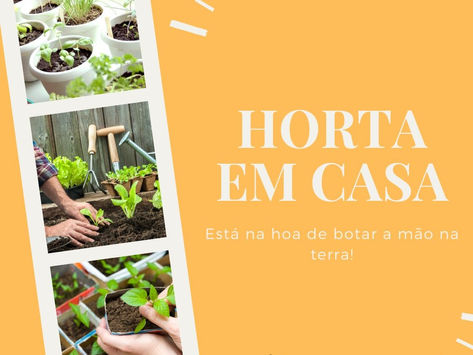 Horta em casa