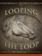 Looping the Loop sleeve