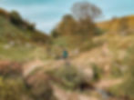 The Bronte waterfall