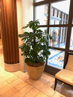 マンション通路