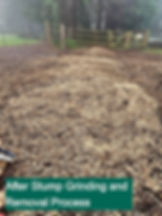 Wood chips cover the ground after stump removal. A chain saw is on the left. A foggy forest and wooden gate are in the background. Text reads: After Stump Grinding and Removal Process.