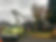 Contact Rain City Tree Works