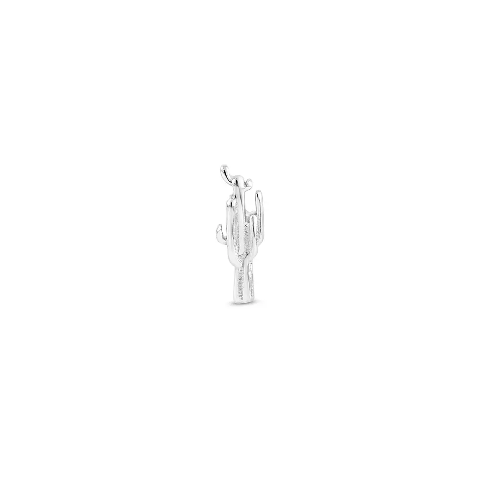 Thumbnail: Cactus