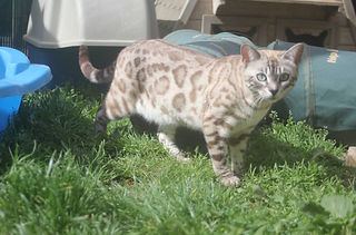 20689784_111967856118561_816807542992124