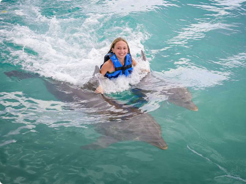Dolphin Royal Swim in Montego Bay