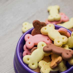 Os et chiens ne font pas bon ménage !