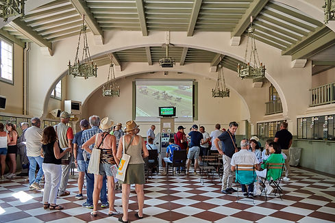 Hippodrome Clairefontaine 75.jpg