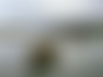 Pluviométrie record en janvier à l'hippodrome de Clairefontaine : un retour vers des chiffres historiques !