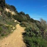 2/7/2026: Betty B Dearing Mountain Trail w/ Professor Isaac Opper