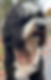 1D694D23-7D08-481F-B5E3-25522255EAB7_1_201_a_edited.png