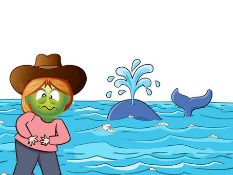 The Adventures of Whale Watching