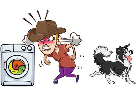 The Washing Machine!