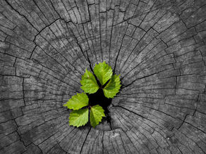 Being and Dying in Love