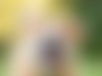 Positive Emotions Accelerate Learning