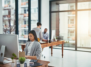 Professionals and offices Insurance