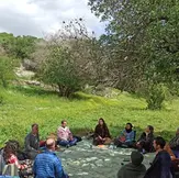 מטיפול לסולידריות: מה לטיפול רגשי ולמשברי חברה וסביבה?