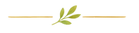 מיתוג גרפיקה של טבע ומהות (1).png