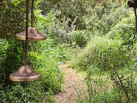 WhatsApp Image 2021-06-08 at 09.48.06.jpeg