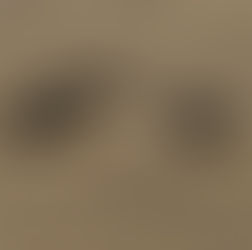 טיפול בטבע ובודהיזם