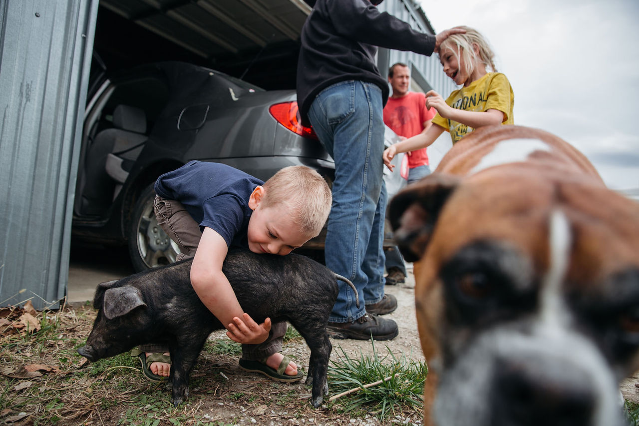 From the series, 'Ozark Life'