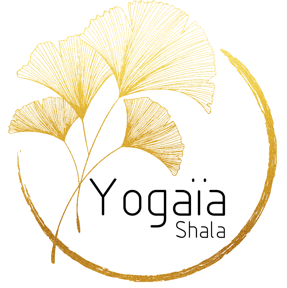 logo.gif