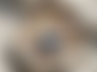 Morgen-Porridge mit Glutamin & Leinsamen