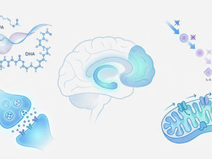 (NEWS) Omega-3 (EPA) & Depression: Meta-Analyse zeigt Effekt auf Stimmung & Neurotransmitter – Was die Forschung sagt
