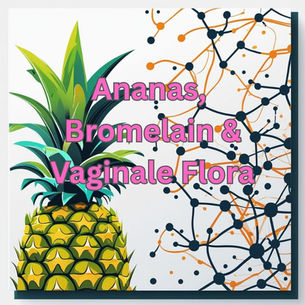 Ananas, Bromelain und die vaginale Flora – Wie Enzyme unser Intimklima beeinflussen