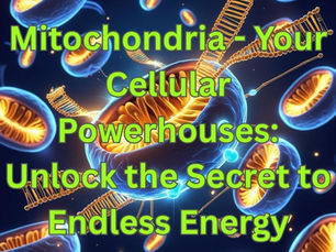 Mitochondria – the powerhouses of our cells: How they determine our health, energy, and lifespan