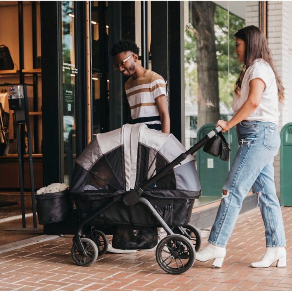 Stroller Wagon Product Copy