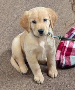 I'm not too young to learn.