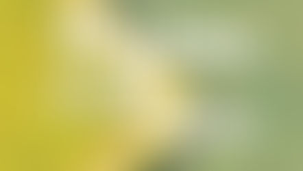 CINÉ-ECHANGE - PAYSANS DU CIEL À LA TERRE - JEUDI 17 OCTOBRE - 19H30