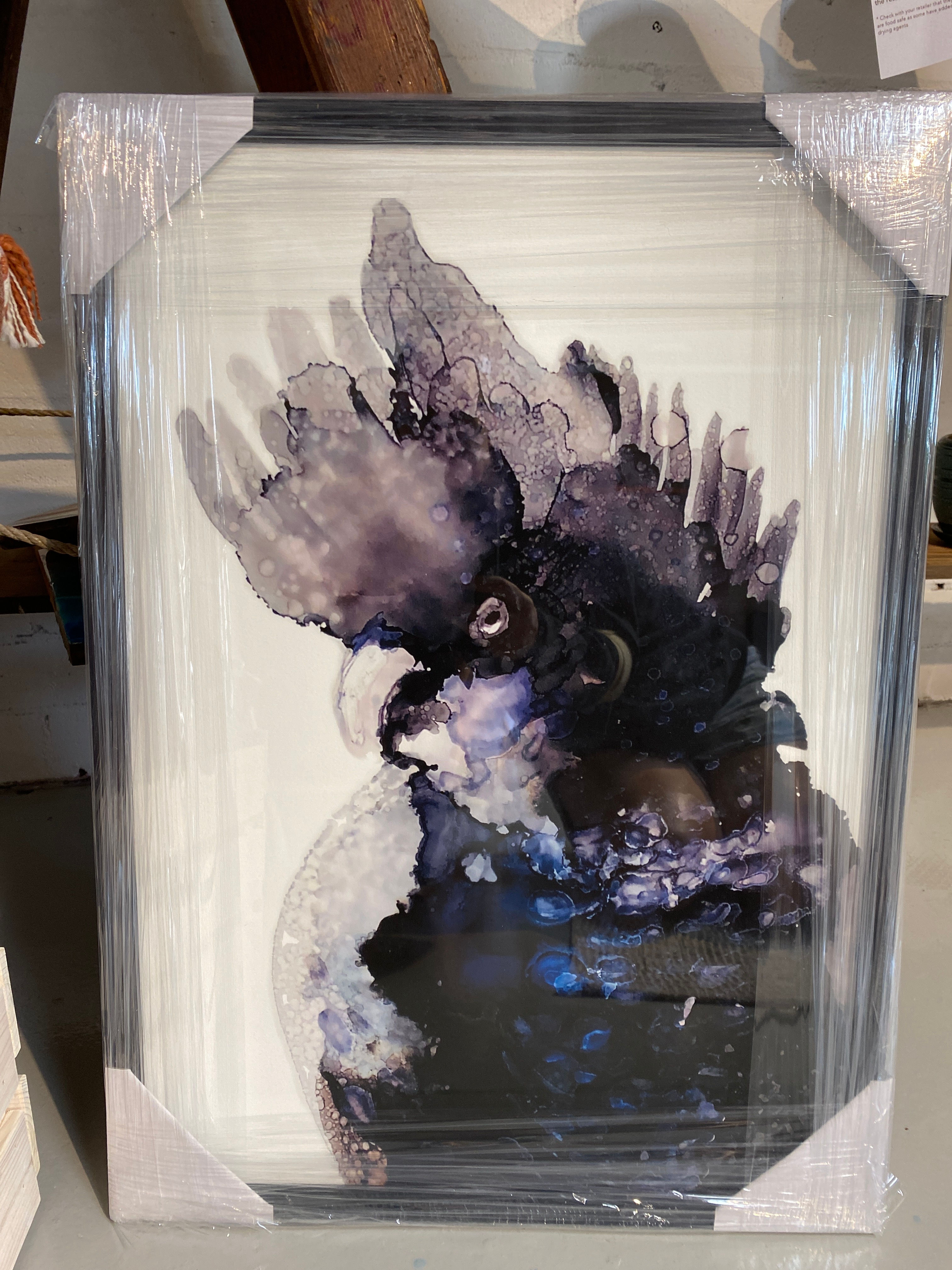 Close up Black Cockatoo