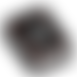 Intro to Animal Advocacy: 7 Essential Terms to Know for Beginners