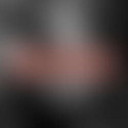 Badger Culling in 2024: A Devastating Step Backwards