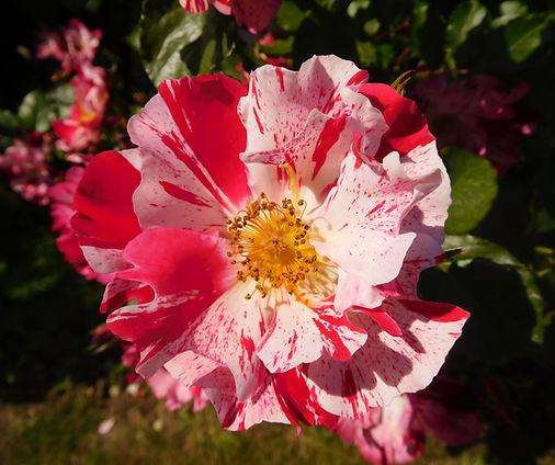 DSCN3008.JPG