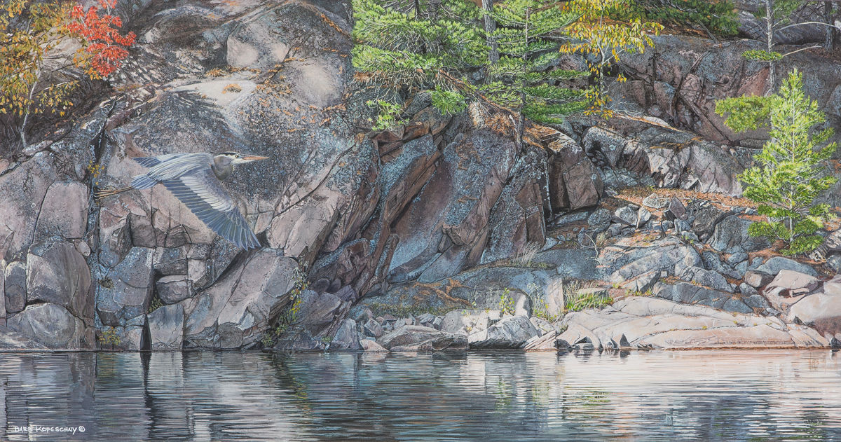 Shoreline Flight - Great Blue Heron