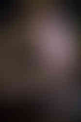 Harry Potter Knight Bus