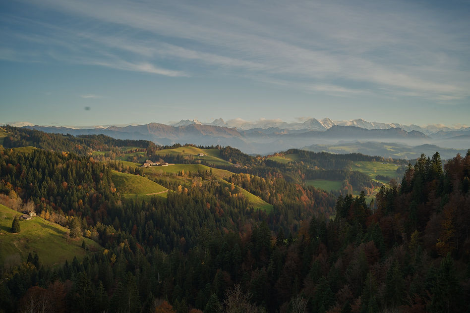 Emmental Hofzwei