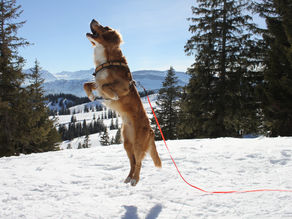 Weihnachtsferien im Lernstübli